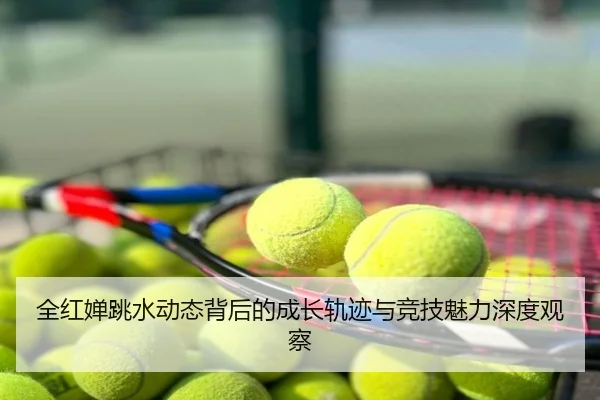 全红婵跳水动态背后的成长轨迹与竞技魅力深度观察