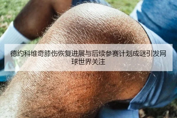 德约科维奇膝伤恢复进展与后续参赛计划成谜引发网球世界关注